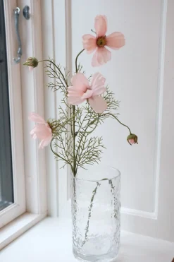 Blomst • Cosmos • Lyserød