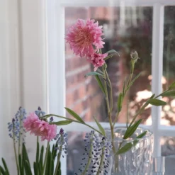 Blomst • Kornblomst • Pink