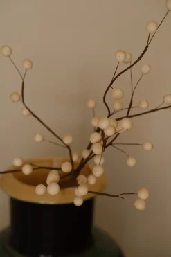 Blomst • Snebær • Hvide