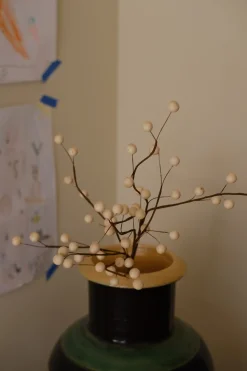 Blomst • Snebær • Hvide