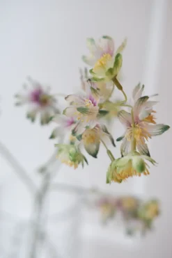 Blomst • Stjerneskærm • Grøn