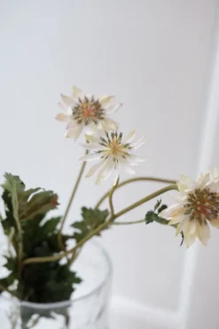 Blomst • Stjerneskærm • Hvid