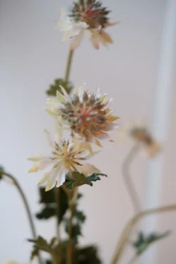 Blomst • Stjerneskærm • Hvid