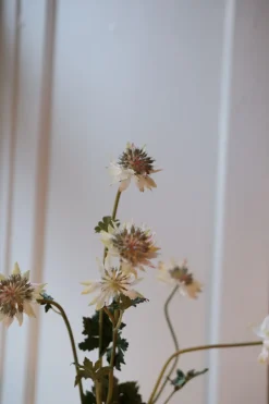 Blomst • Stjerneskærm • Hvid