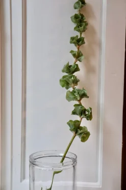 Blomst • Tragtbæger • Grøn