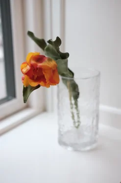 Blomst • Tulipan • Orange