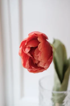 Blomst • Tulipan • Spray • Orange