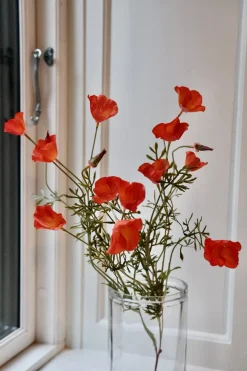 Blomst • Valmue • 12 blomster • Orange