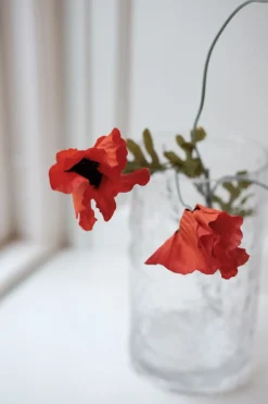 Blomst • Valmue • 3 blomster • Orange