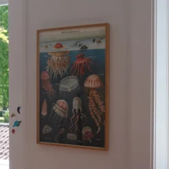 Plakat • Gopler • Sendes Ikke