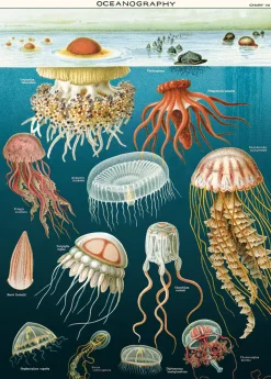 Plakat • Gopler • Sendes Ikke