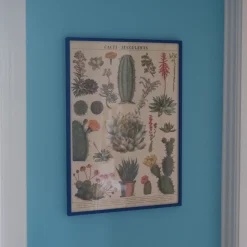 Plakat • Kaktus • Sendes Ikke