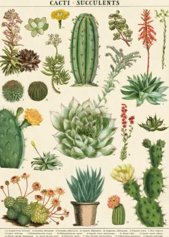 Plakat • Kaktus • Sendes Ikke