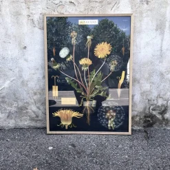 Plakat • Mælkebøtte • Sendes Ikke