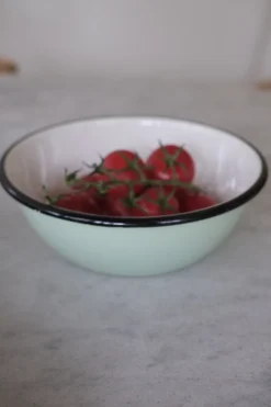 Serveringsskål • Emalje • Mint