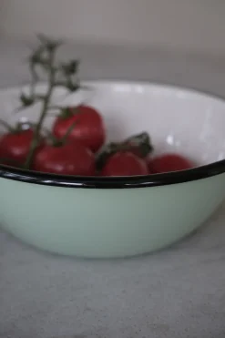 Serveringsskål • Emalje • Mint