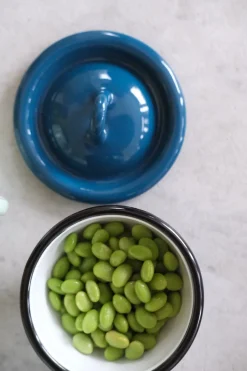 Snackskål med Låg • Emalje • Petroleum